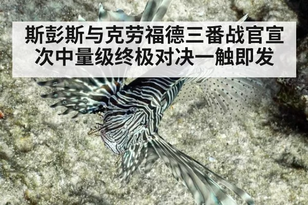 斯彭斯与克劳福德三番战官宣 次中量级终极对决一触即发（kaiyun）