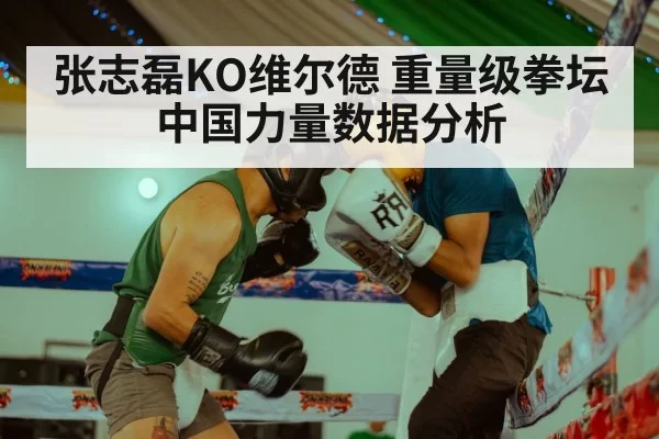 张志磊KO维尔德 重量级拳坛中国力量数据分析