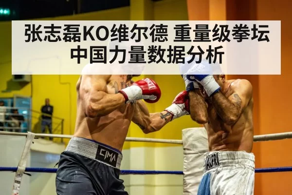 heavyweight boxing match